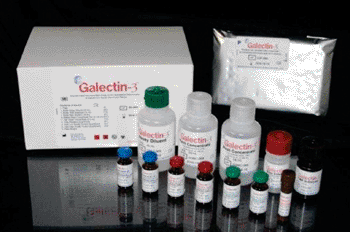 Image: Galectin-3 test kit (Photo courtesy of BG Medicine Inc.).